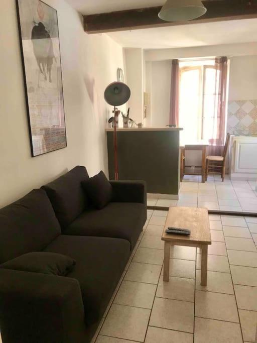 Face Aux Arenes Apartment Arles